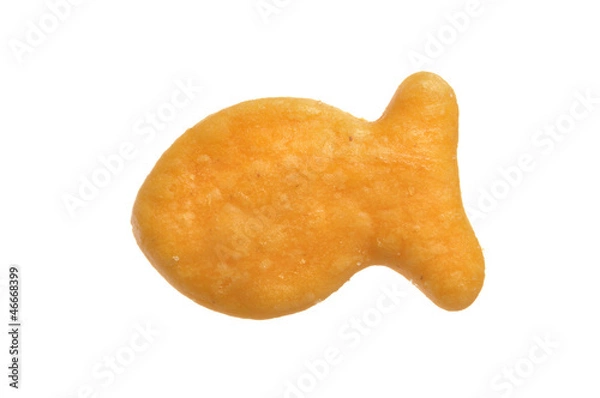 Obraz Goldfish cracker