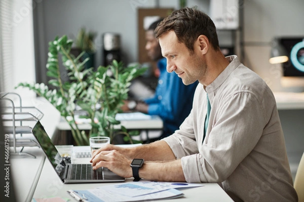 Fototapeta Side view portrait of smiling adult man using laptop while enjoying work in office, copy space