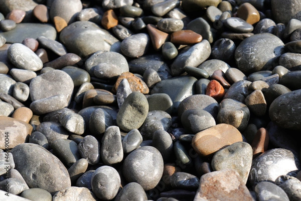 Obraz stones of different sizes on the seashore