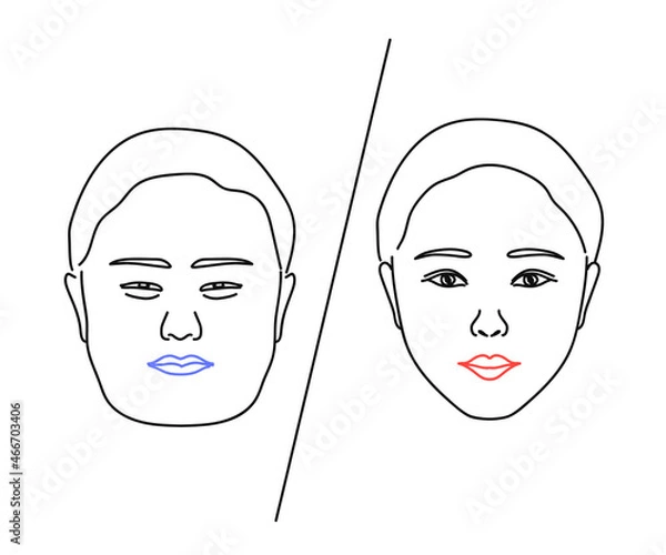 Obraz Woman's face on a white background. Plastic surgery. Vector illustration.
