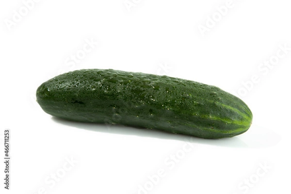Obraz Single Cucumber