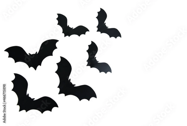 Obraz Black bats on a white background