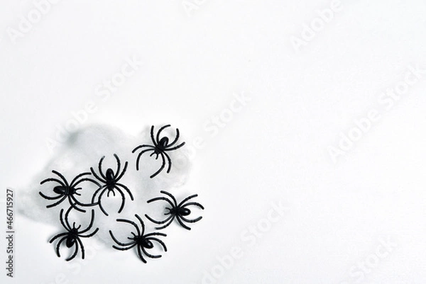 Obraz Black spiders on a white background
