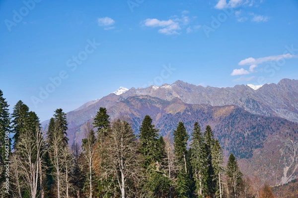 Fototapeta mount hood state