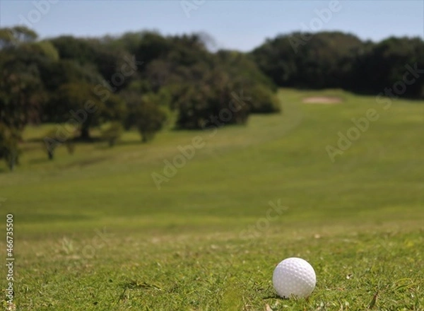 Obraz golf ball on green