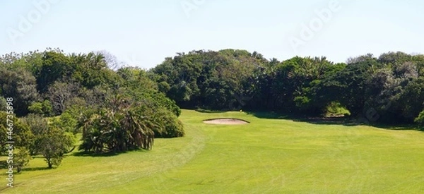 Obraz landscape with trees and grass