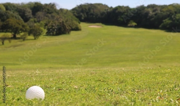 Obraz golf ball on the course