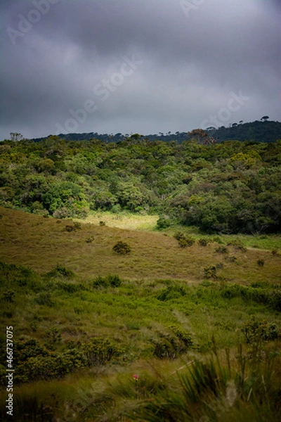 Fototapeta landscape with clouds