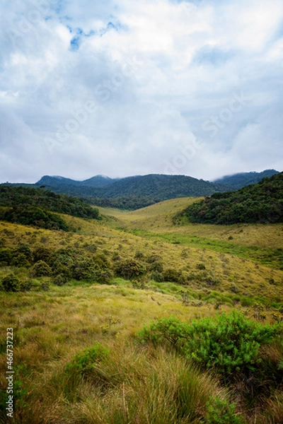 Obraz landscape with sky