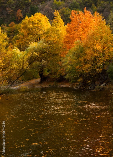 Obraz autumn in the Rhodope Mountains Bulgaria_2