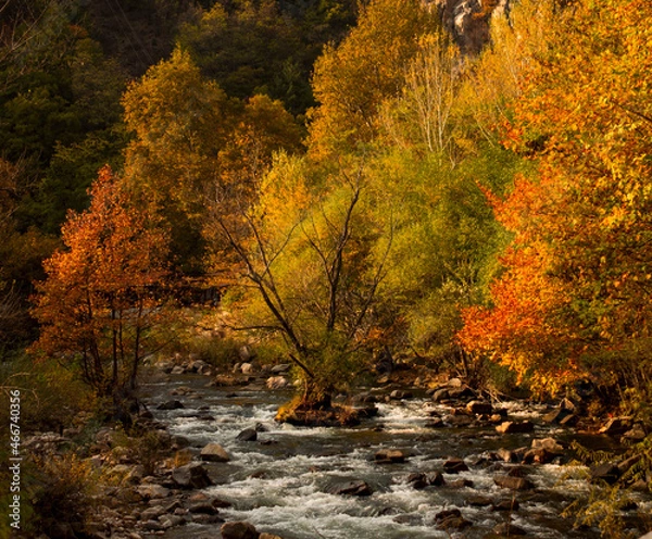 Obraz autumn in the Rhodope Mountains Bulgaria_3