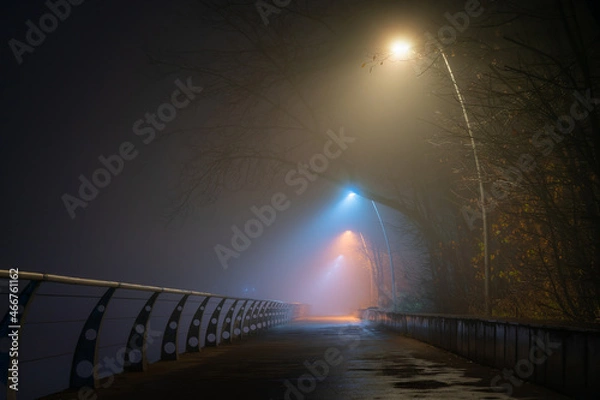 Obraz Autumn embankment at night. Heavy fog.