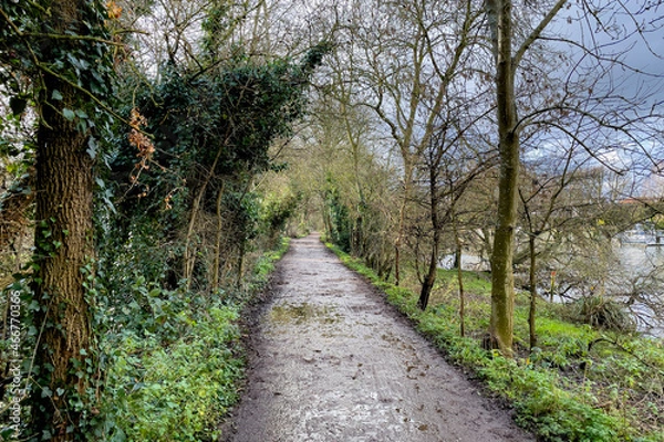 Obraz path in the park