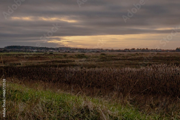 Obraz sunset over the field