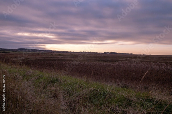 Obraz sunset in the field