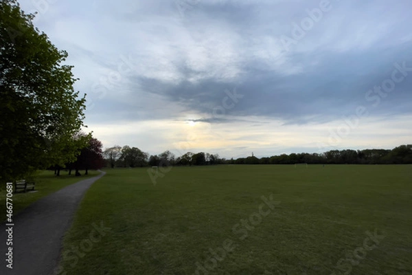 Obraz sunset in the park