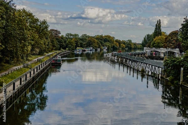 Obraz lake in the park
