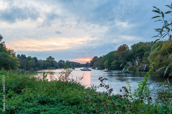 Obraz lake and forest