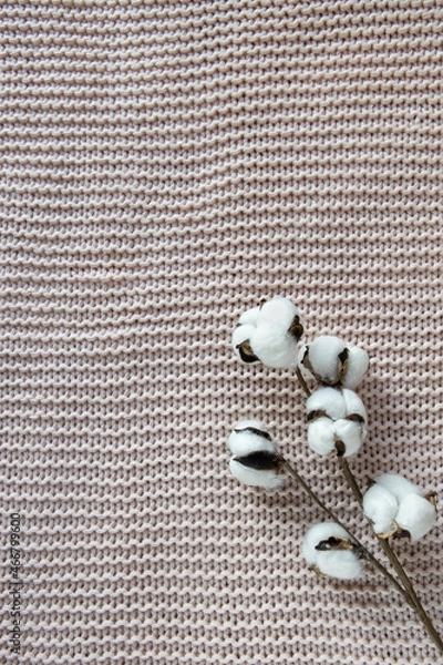 Fototapeta A sprig of cotton on a textured background, a dusty pink blanket on bed, top view, close-up, copy space. Concept comfort, natural fabrics, interior details. Minimal style. For decorating stationery