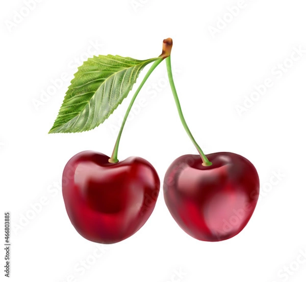 Obraz Realistic cherry with fresh leaves, red juicy on a white background for design.