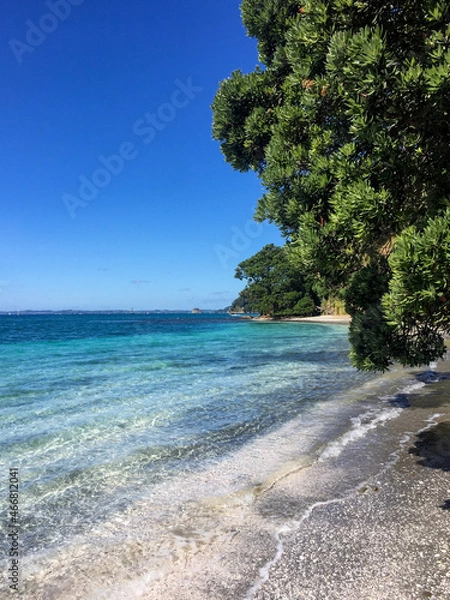 Obraz Deserted Beach, summertime, Dairy Bay, Boat access only, Mahurangi Regional Park, Auckland, New Zealand