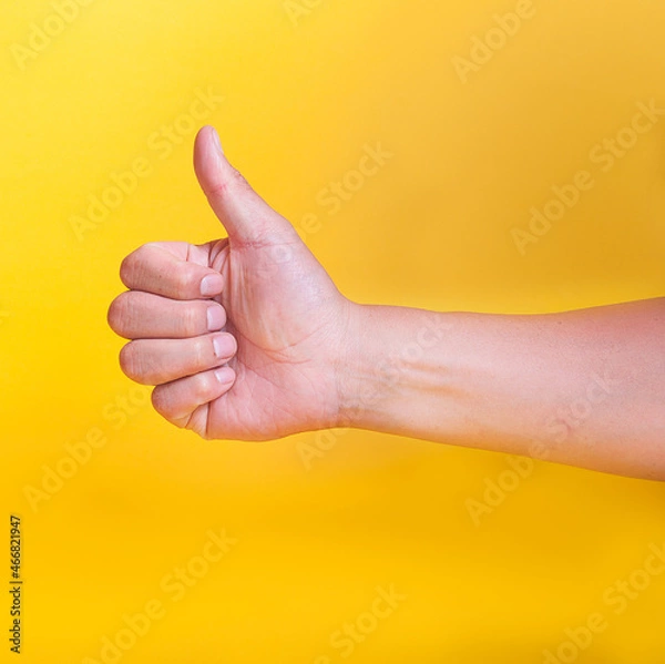 Obraz hand of the person