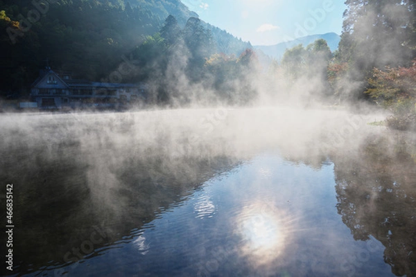 Fototapeta 大分県　湯布院　金鱗湖　朝霧
