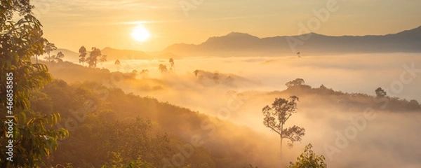 Fototapeta Panorama of Beautiful scenery landscape sunlight in the morning sunrise above flowing fog waves on mountain peak tropical rainforest. rainforest in the morning with fog and sunrise. jurassic forest.