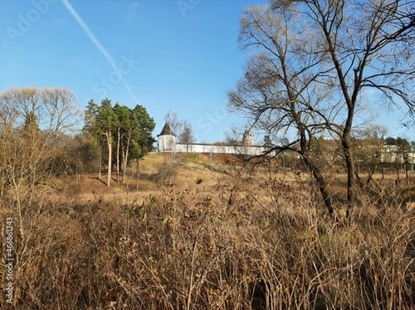 Fototapeta trees in a field and a monastery