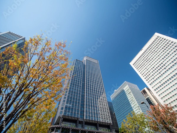 Fototapeta 秋晴れの東京駅丸の内の風景