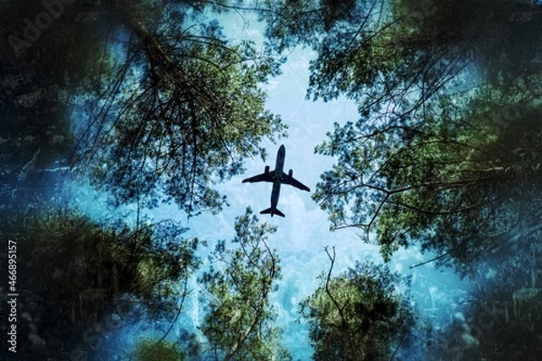 Fototapeta flying over the forest
