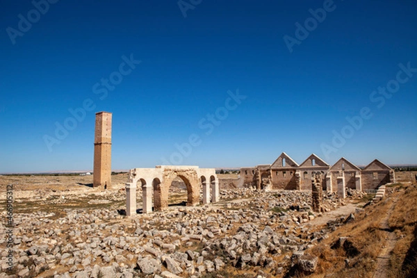 Obraz ruins of the roman forum