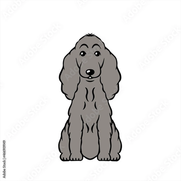 Obraz Cocker Spaniel Gray コッカースパニエル　グレイ