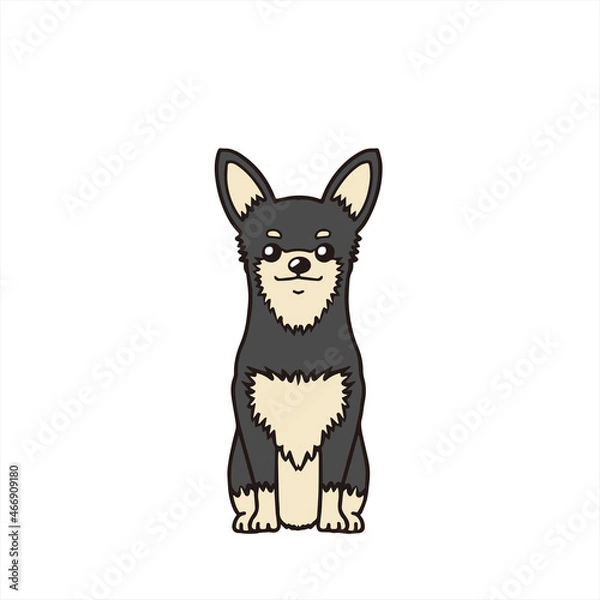 Obraz Chihuahua Black&Tan　チワワ　ブラタン