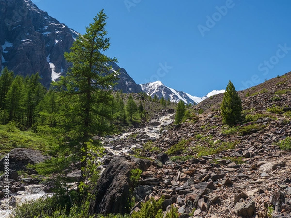 Fototapeta Mountain stream flowing from the melting winter snow under blue sky.  Awesome highland scenery with beautiful glacial streams among sunlit hills and rocks
