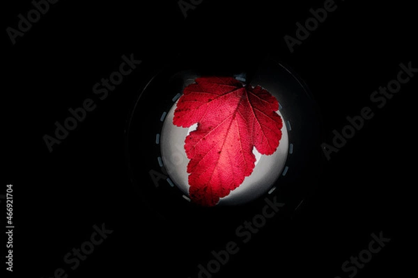 Obraz red globe on black background