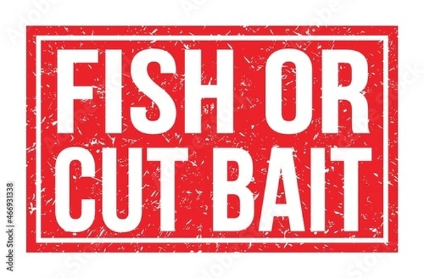 Fototapeta FISH OR CUT BAIT, words on red rectangle stamp sign