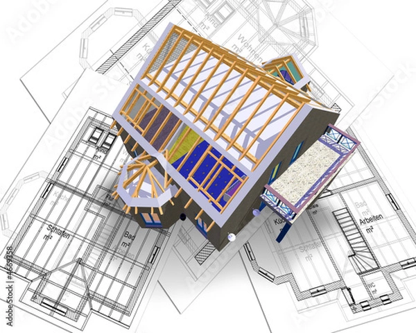 Obraz house and plan
