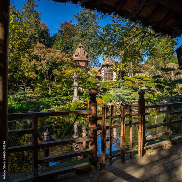 Fototapeta Parc oriental de Maulévrier en Anjou, France.