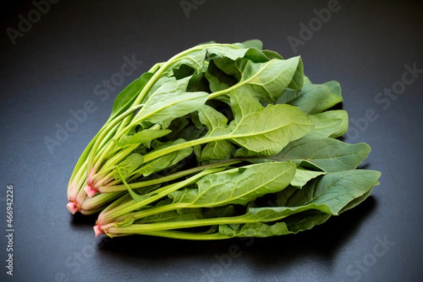 Obraz ほうれん草