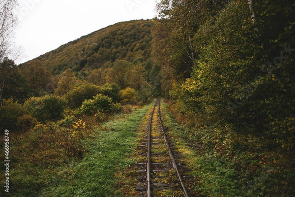 Obraz Bieszczady