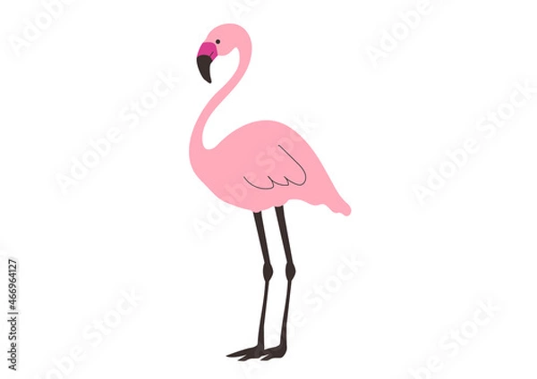Fototapeta フラミンゴのベクターイラスト	