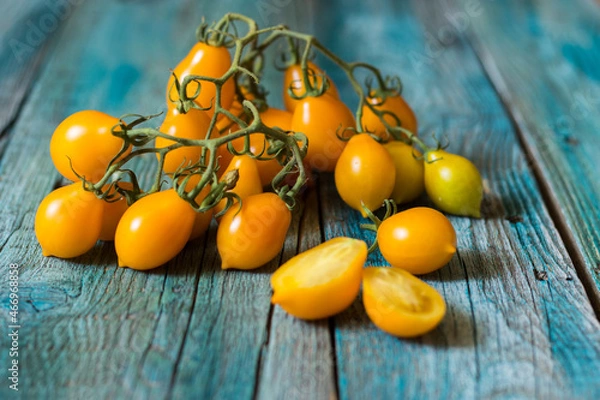 Obraz Vesuvius yellow Piennolo or simply Vesuvian Tomato, on blue wooden background. Piennolo is a cluster tomato grown in Naples, Italy.
