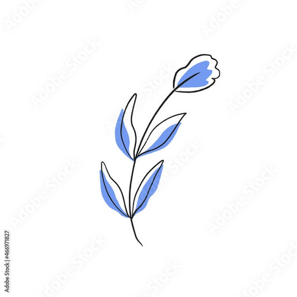Obraz Blue flower line illustration. Floral emblem, decoration, print design. Outline vector art.