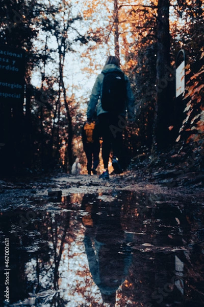 Obraz El reflejo del otoño