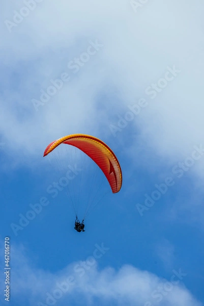 Fototapeta Paraglider Pilot Flying