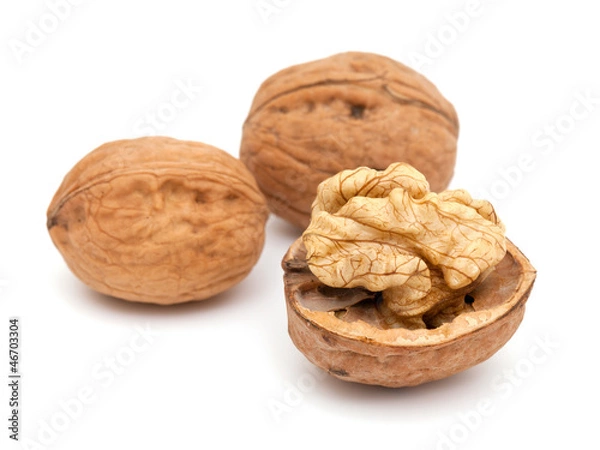 Obraz walnut isolated on white background
