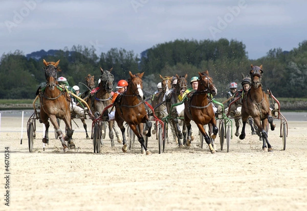 Fototapeta course attelée 19