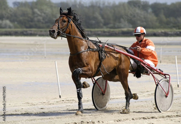 Obraz Echauffement  4