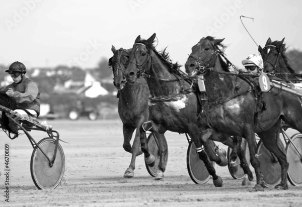 Fototapeta Course attelé 9